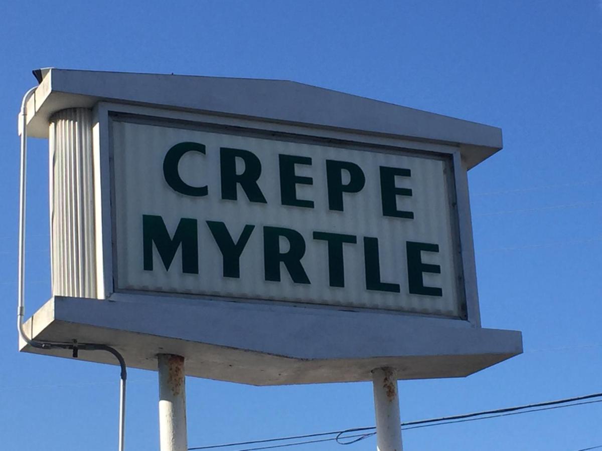 Crepe Myrtle Inn Myrtle Beach Exterior foto